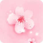 快狗视频apk下载入口
