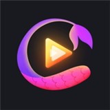 最美情侣2019全集免费观看最新版