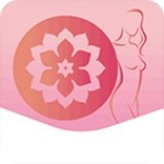 低端影视ddrs播放器下载入口_logo