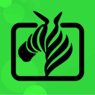 992tv在线观看国产精品
