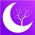 夜月直播安装包免费下载