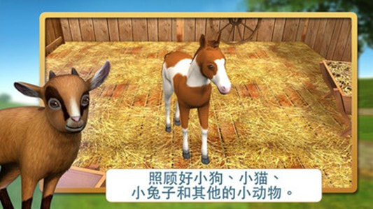 宠物世界我的动物救援2